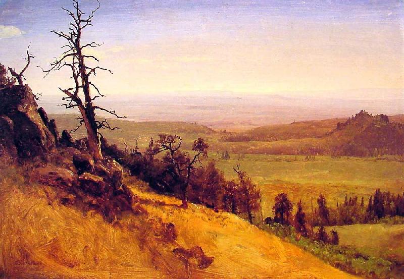 Albert Bierstadt Newbraska Wasatch Mountains oil painting picture